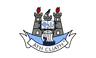 Dublin Pool Logo